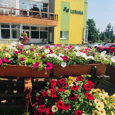 Hotel Lesana Стара Лесна Екстер'єр фото